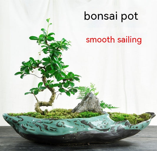 Flower Pot Ceramic Creative Large Household Bonsai Flower Pot